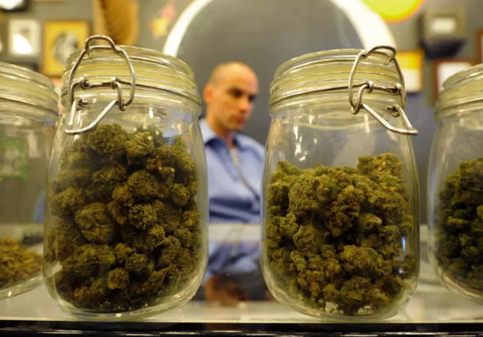 Experts Say Oregon’s Marijuana Glut Spilling into Black Market