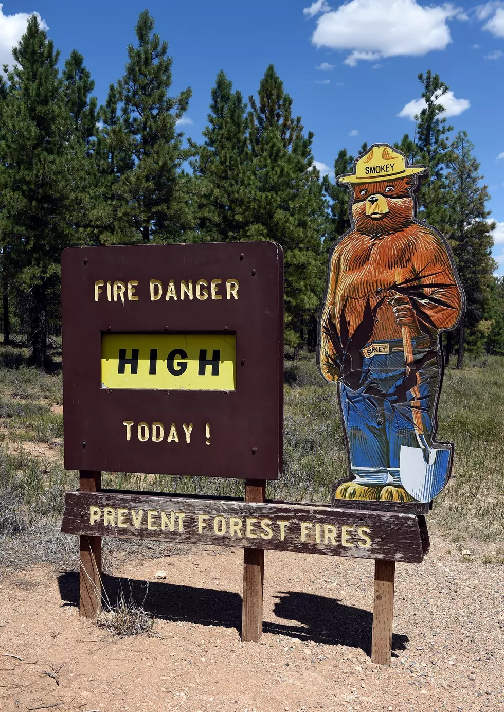 Red Flag WARNING: High Winds and High Fire DANGER