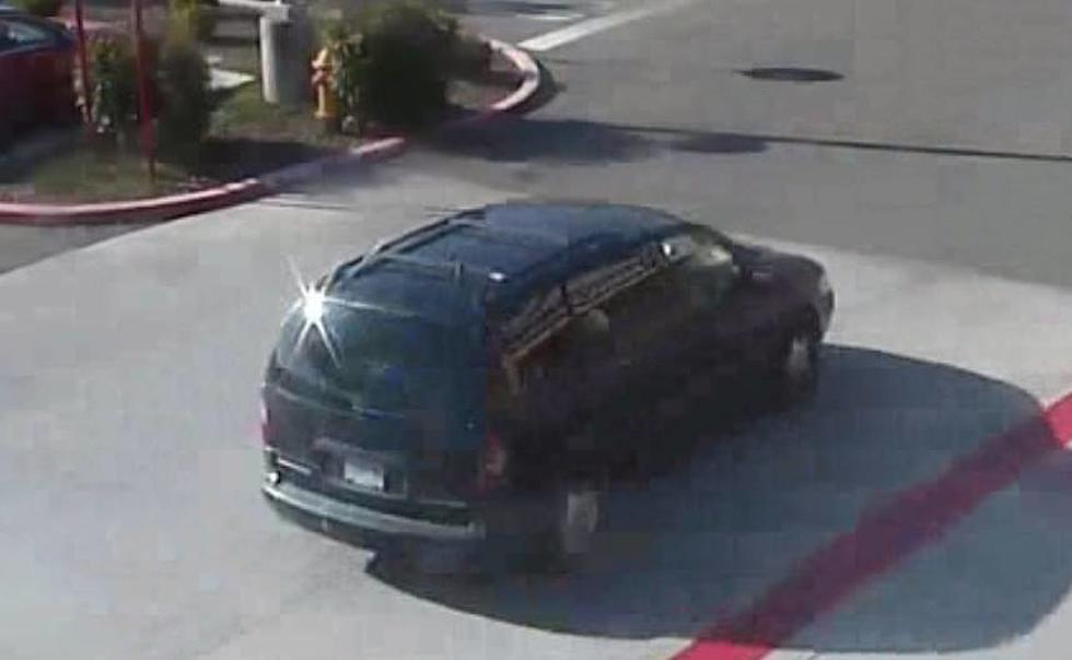 Purse Snatcher Driving This Green Van Sought by Police