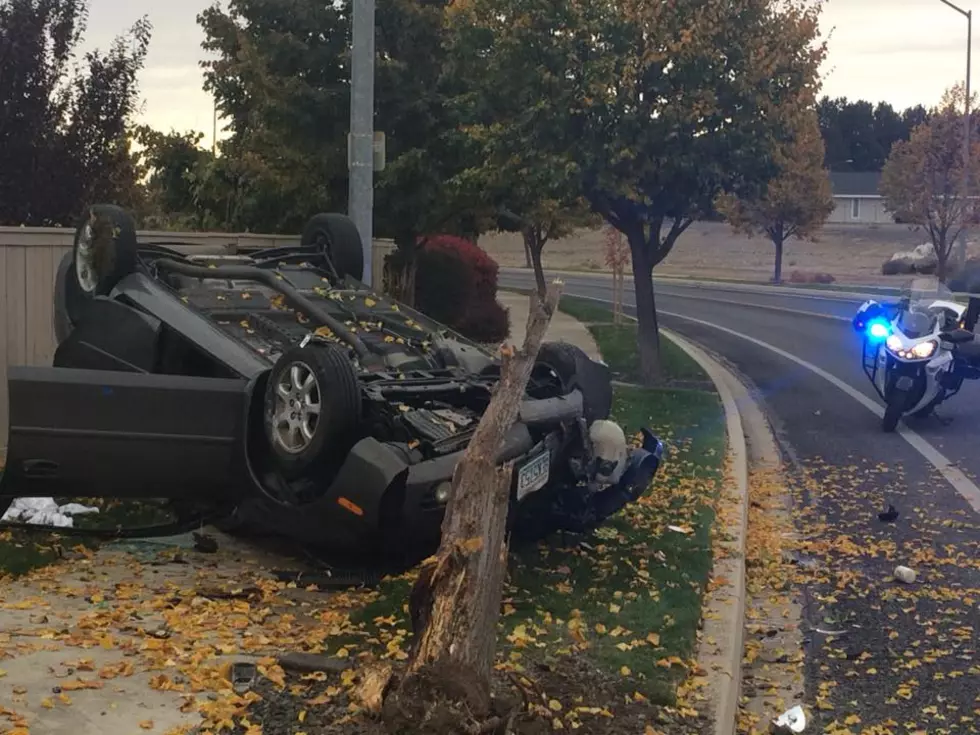 Kennewick Driver Rolls Car, Demolishes Tree, Arrested for DUI