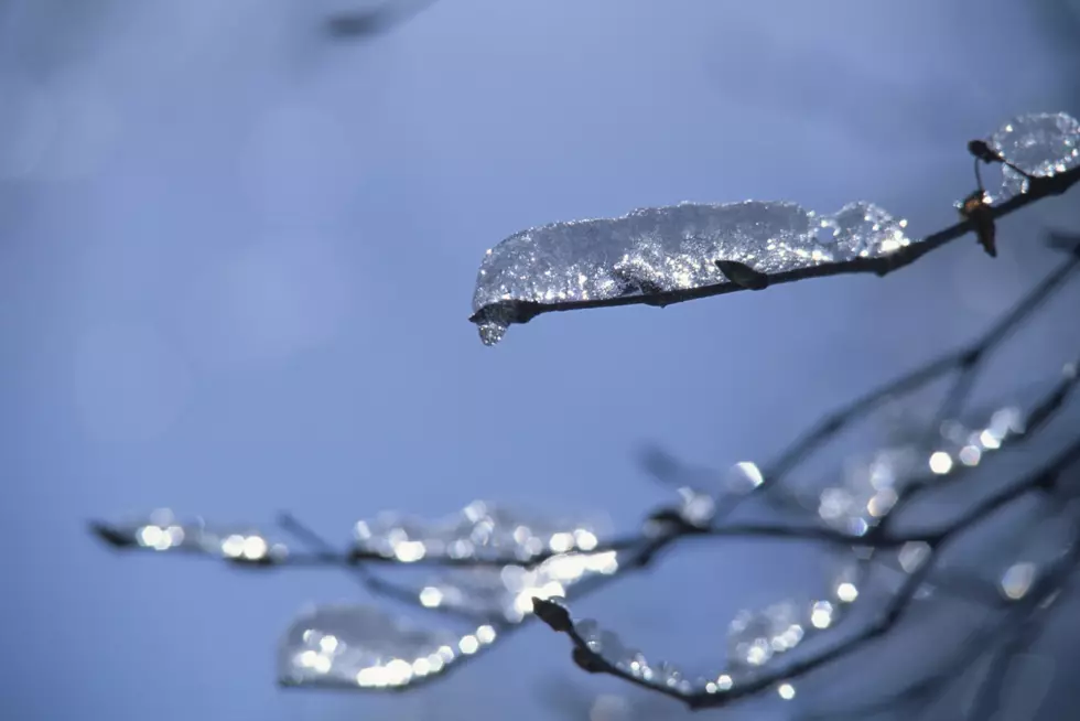 Possible Freezing Rain Expected Friday in Tri-Cities