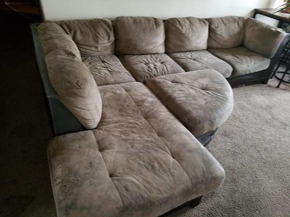 Wacky Free Stuff You Can Get Today On Tri Cities Craigslist