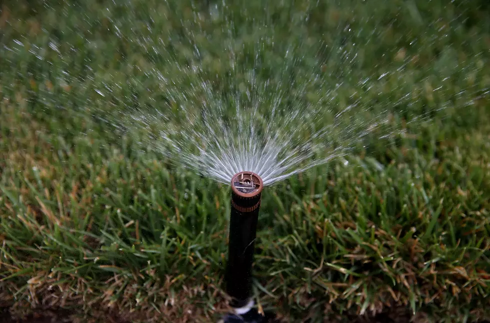 Remember to Clean Your Sprinkler Filters Because of Algae Bloom