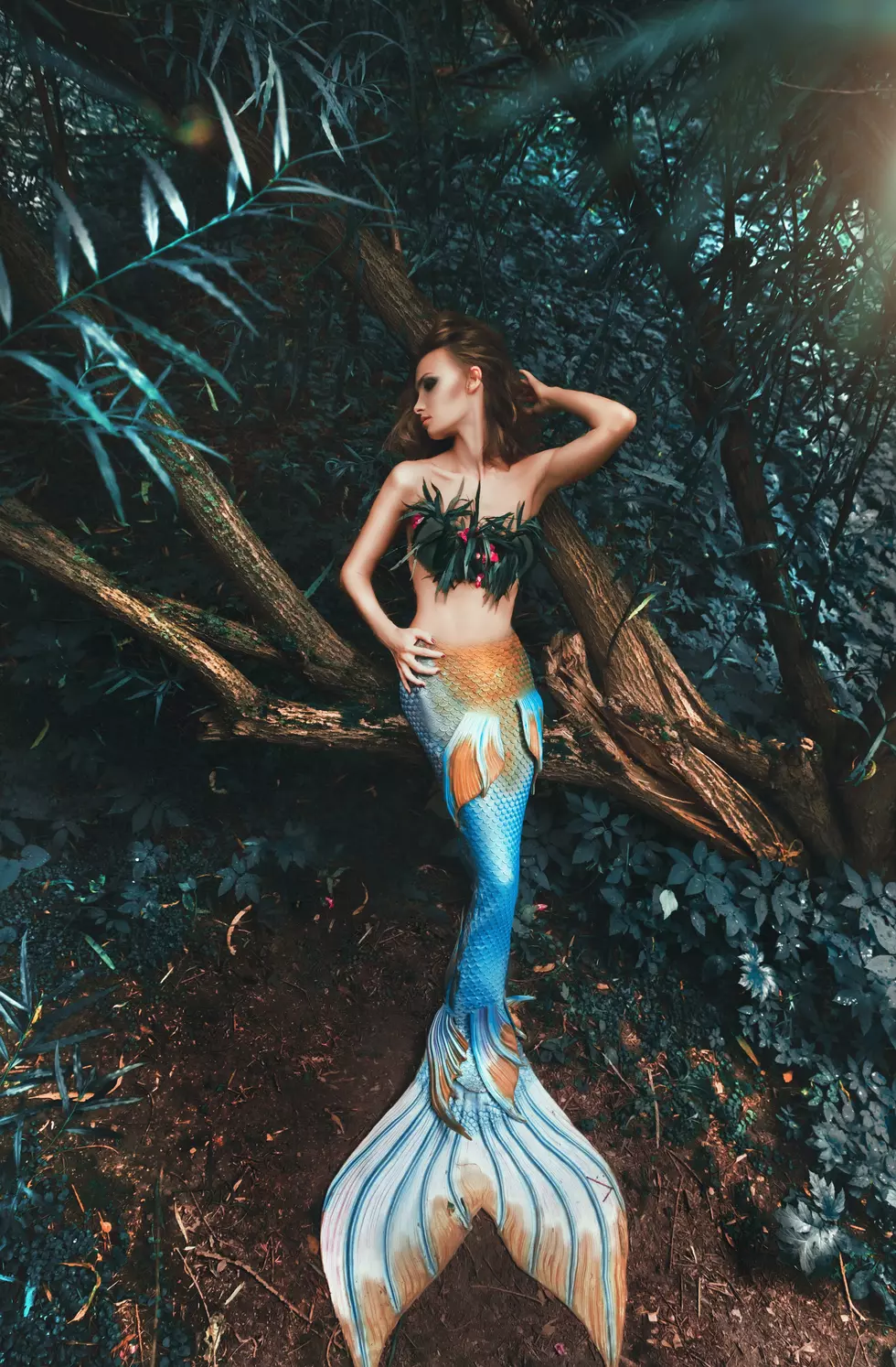 Everything You Wanted to Know About Mermaids