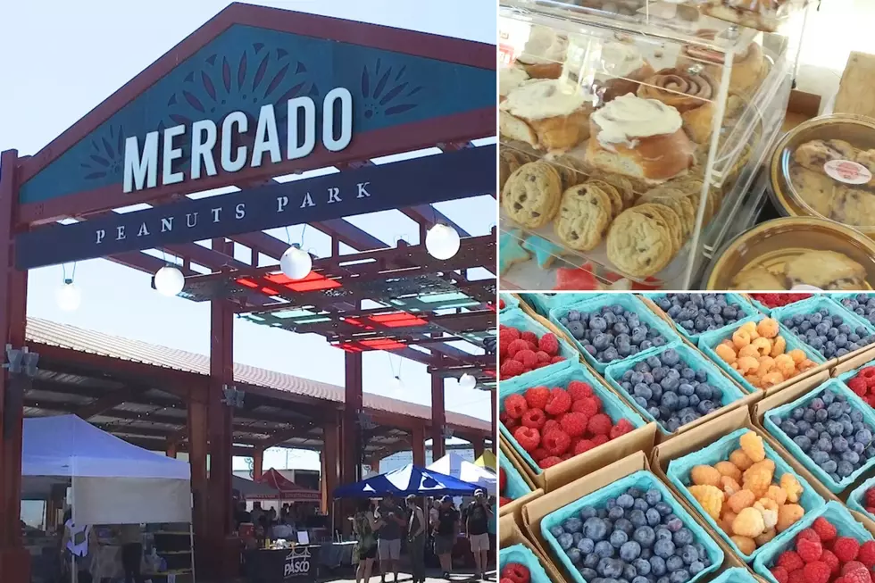 Ready for another delicious season at Pasco Farmers Market?