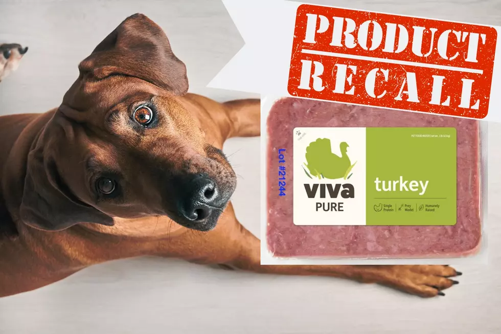RECALL: Popular Raw Pet Food Recalled For Listeria Concerns