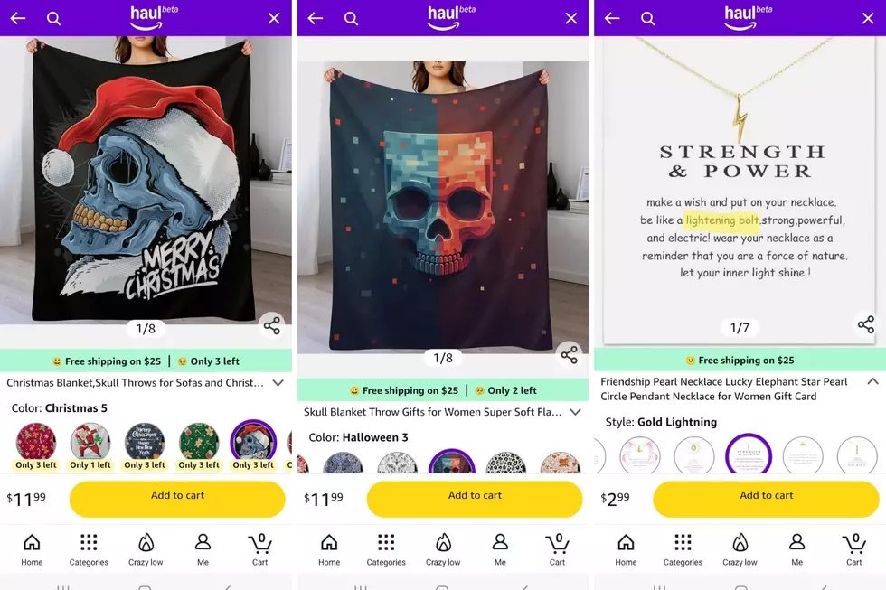 Screenshots of blankets and a necklace on Amazon Haul
