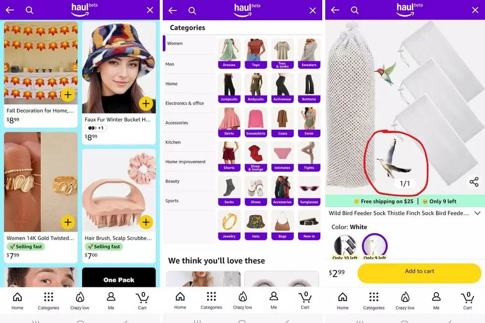 Three screenshots of the Amazon Haul shopping experience, shoping a results page, categories, and a bird 'sock' feeder.