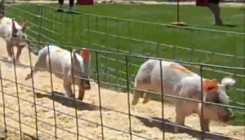 Join 98 Country at the Benton County Fair [VIDEO]