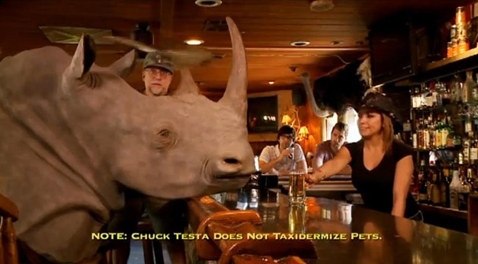 You Probably Thought That Animal Was Alive – Nope, Chuck Testa! [VIDEO]