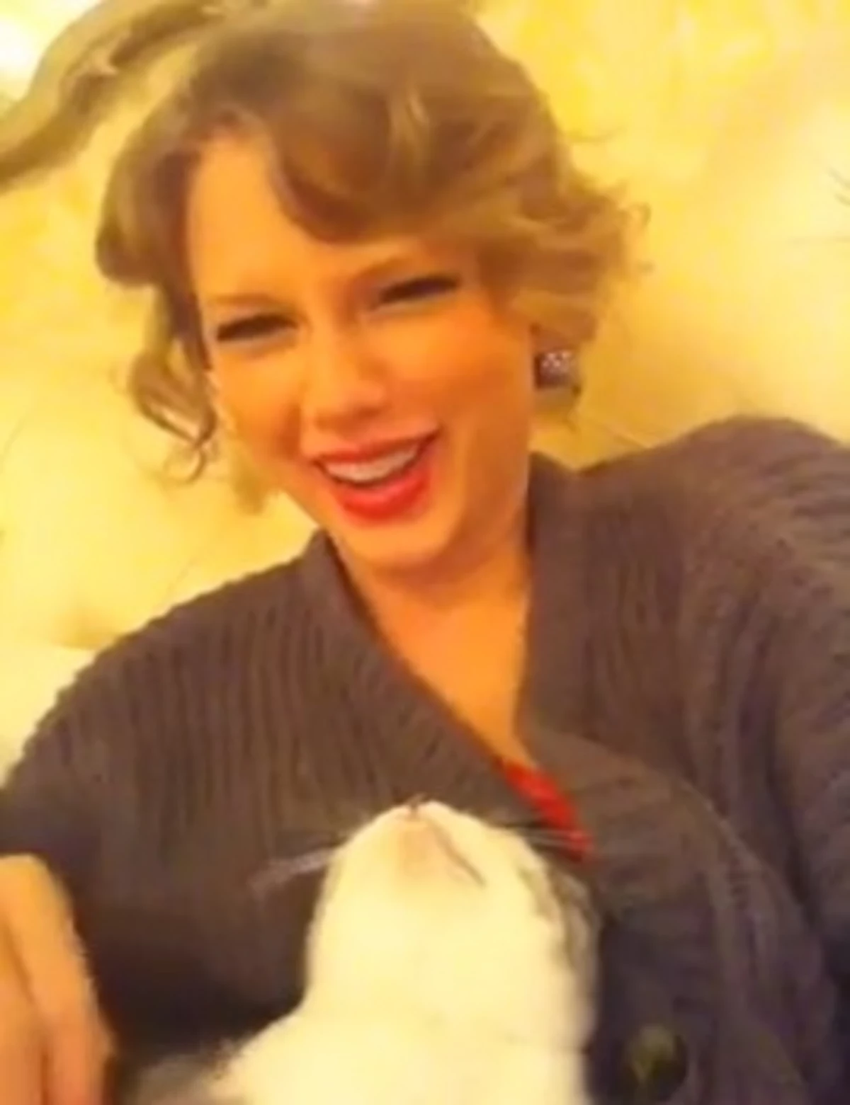 Finally A Cat Video Starring Taylor Swif
