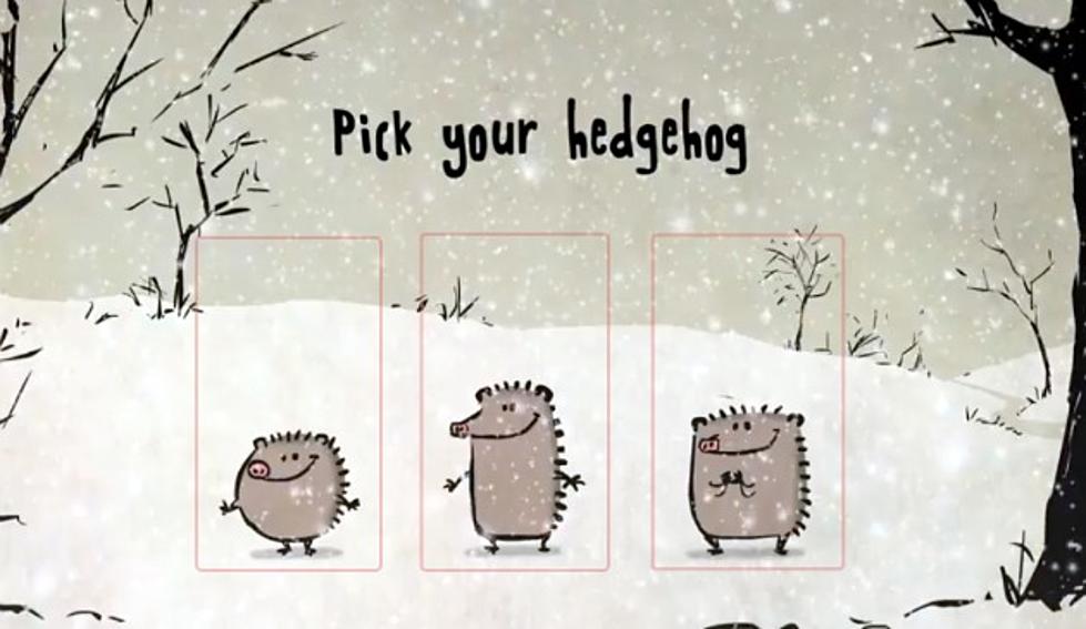 Singing Christmas Hedgehogs [VIDEO]