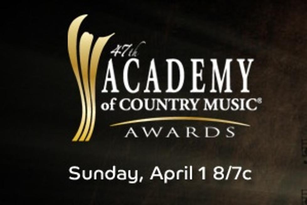 Vote for Your Favorite to Win at the ACM Awards