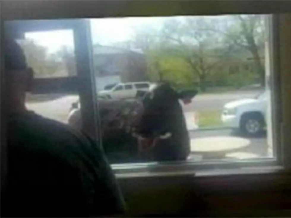 Where&#8217;s the Beef? In McDonald&#8217;s Drive Thru of Course [VIDEOS]