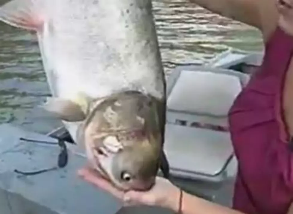 Hilarious News Blooper Caused by a Fish [VIDEO]