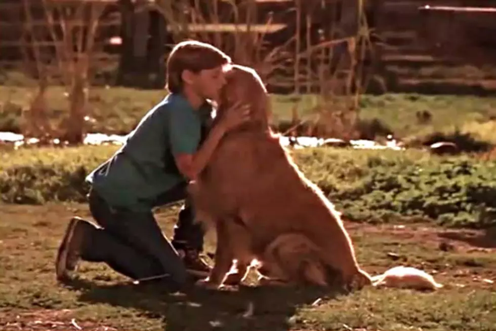 Three Movies That Are Guaranteed to Make You Cry [VIDEO]