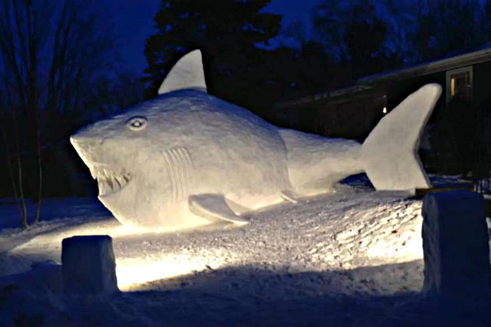 Brothers From New Brighton Design Amazing Snow Shark [VIDEO]