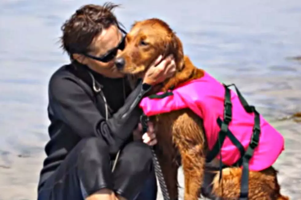 Ricochet Was Supposed To Be A Service Dog But Became So Much More [VIDEO]