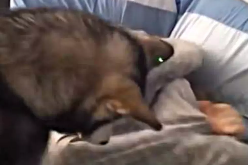 This Could Be The Best Wake Up Call Ever [VIDEO]