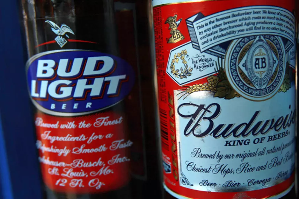 Budweiser & Bud Light Ingredients Revealed