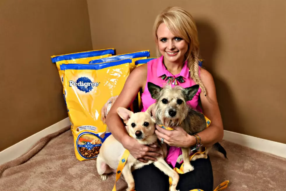 There&#8217;s No Question Miranda Lambert Is Dedicated To Shelter Pets [VIDEO]