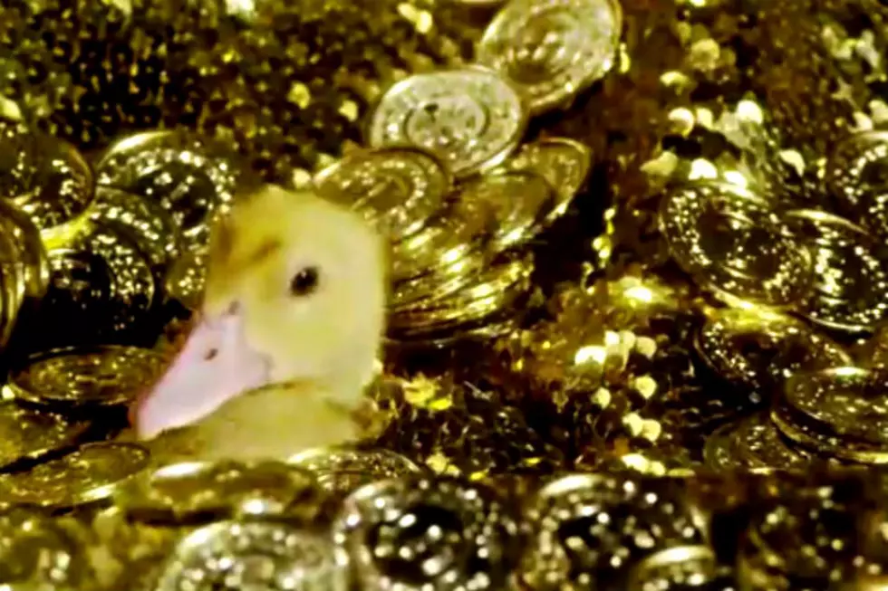 The DuckTales Intro Recreated With Real Ducks Might Be The Cutest Thing I’ve Ever Seen [VIDEO]