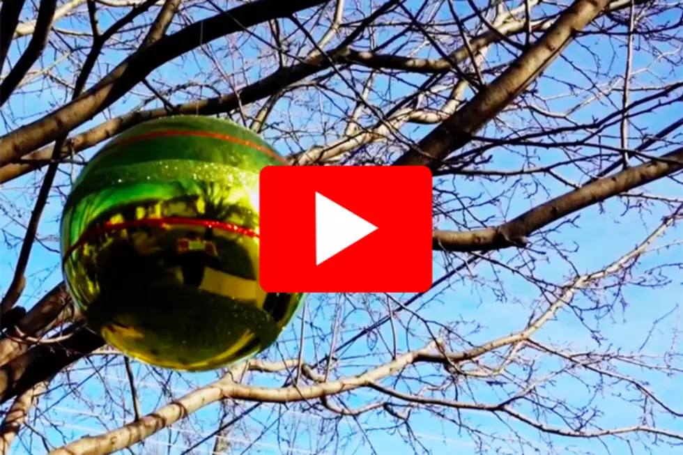 Ornament In The Sun: Today’s Zentral Minnesota Moment [Video]