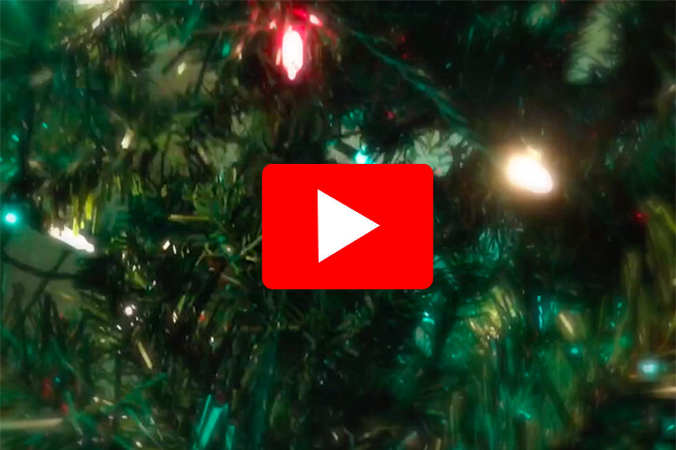 My Christmas Tree: Today’s Zentral Minnesota Moment [Video]