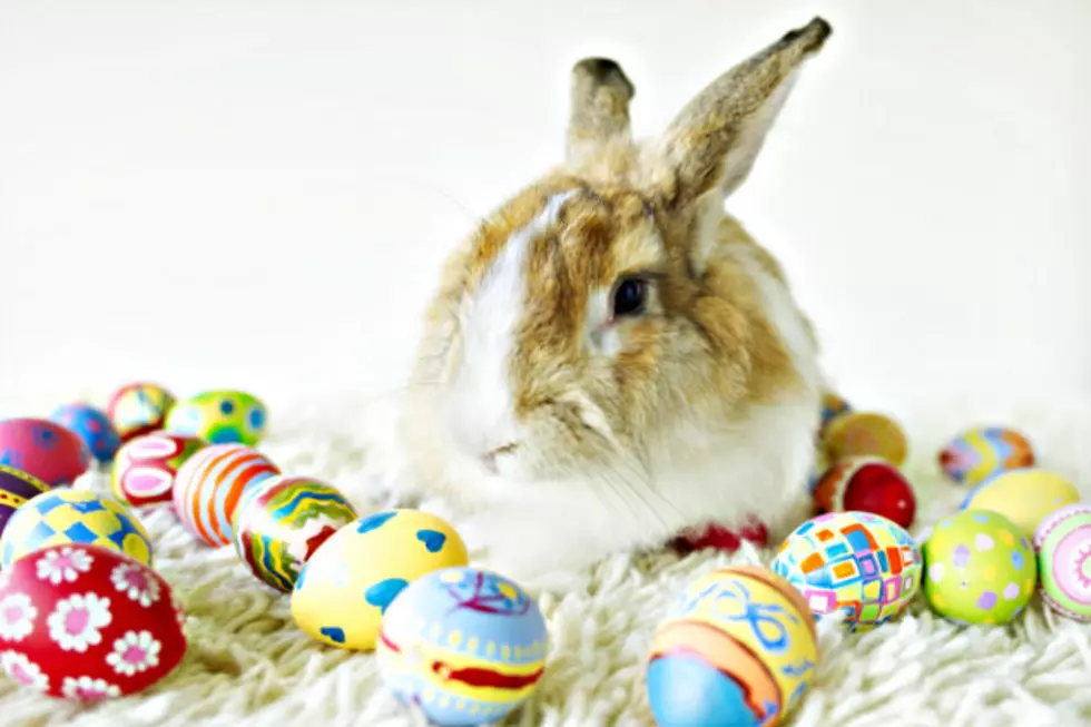Kids Can Visit The Easter Bunny At Crossroads Shopping Center