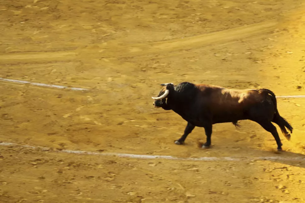 Guy Gets Taken For a Ride By a Bull Whose Horns Are on Fire [VIDEO]
