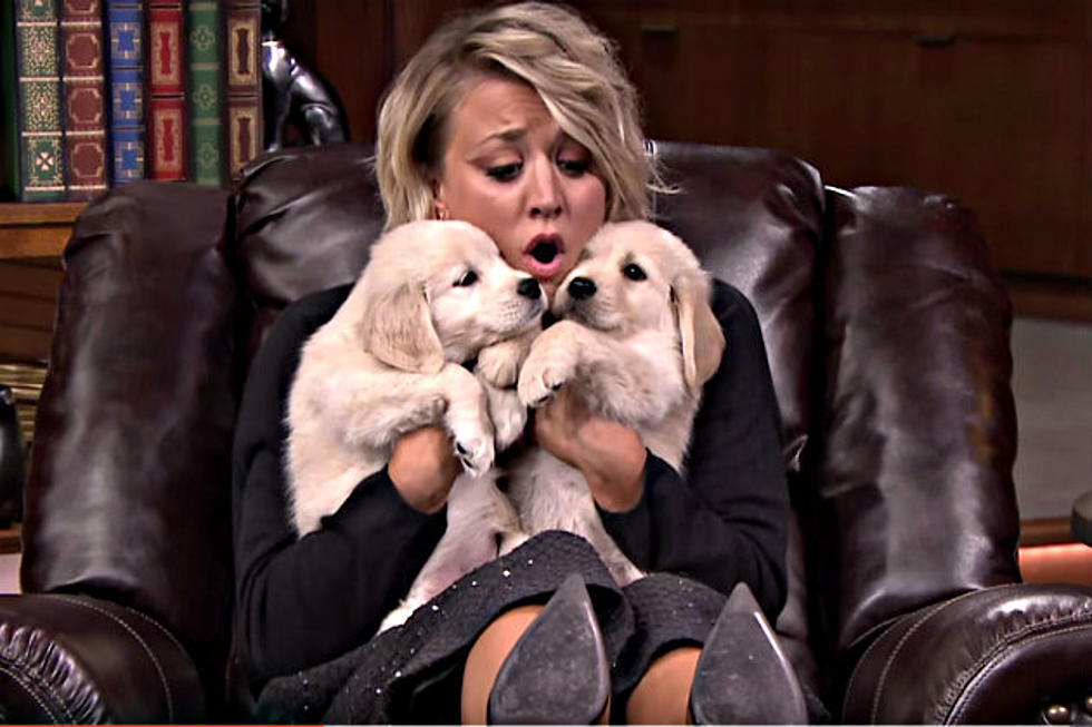 Kaley Cuoco-Sweeting Plays &#8216;Pup Quiz&#8217; With Jimmy Fallon and it&#8217;s Adorable [VIDEO]