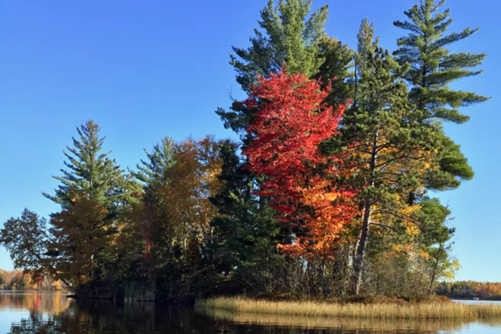 Brilliant Fall Colors Still To Come Across Southern Minnesota