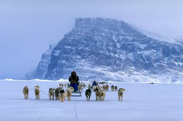 2 Minnesotans Are Competing In The 2016 Iditarod