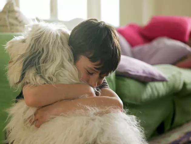 Does Hugging Your Dog Stress Them Out?