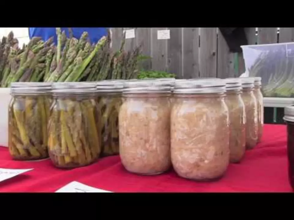 I Visited The Milaca Farmer’s Market! [VIDEO]