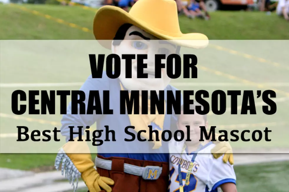 Which Central Minnesota High School Has the Best Mascot? [Vote]