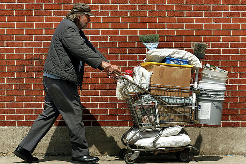 St. Cloud Homeless Shopping Carts – Theft or Not?