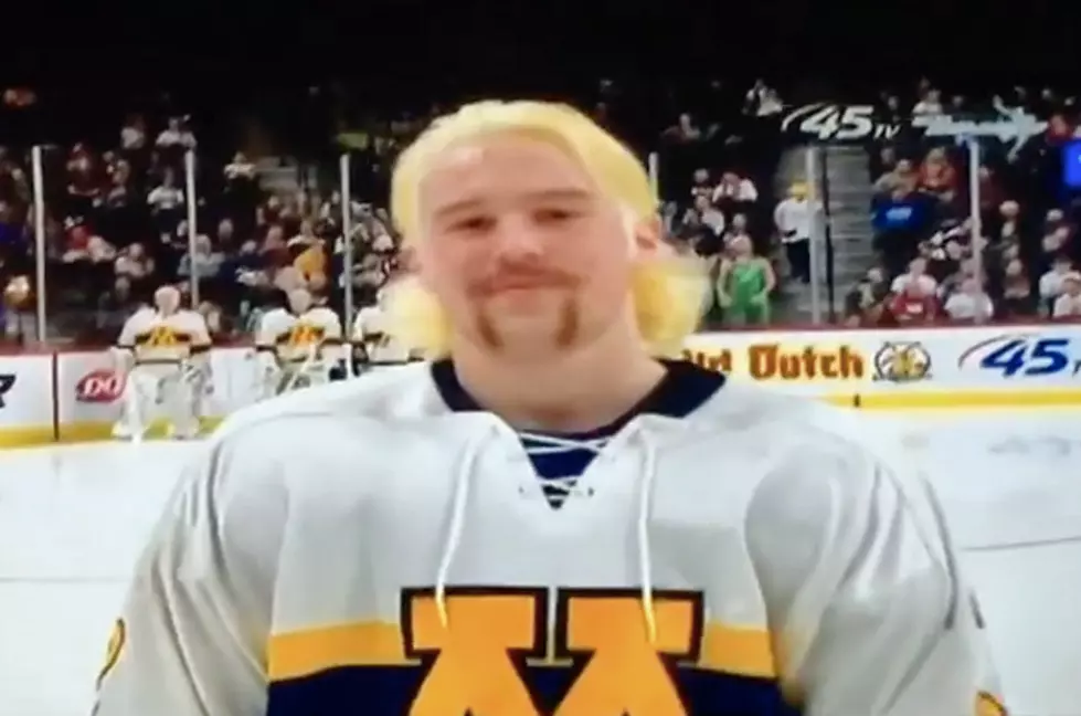 2017 Minnesota State High School All Hockey Hair Team