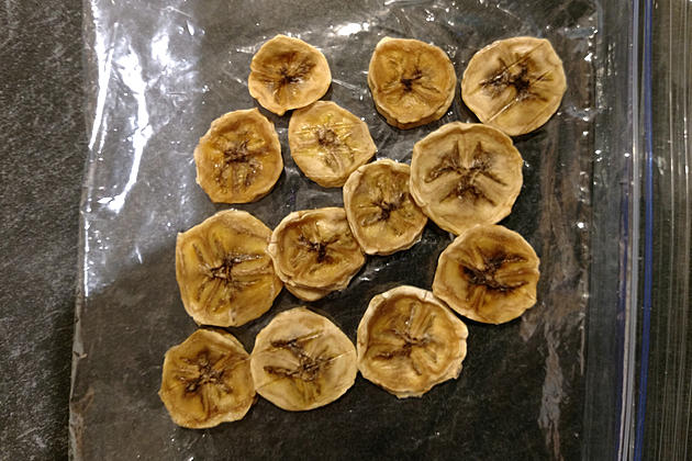 What Did I Do Wrong While Dehydrating Bananas? (Help)