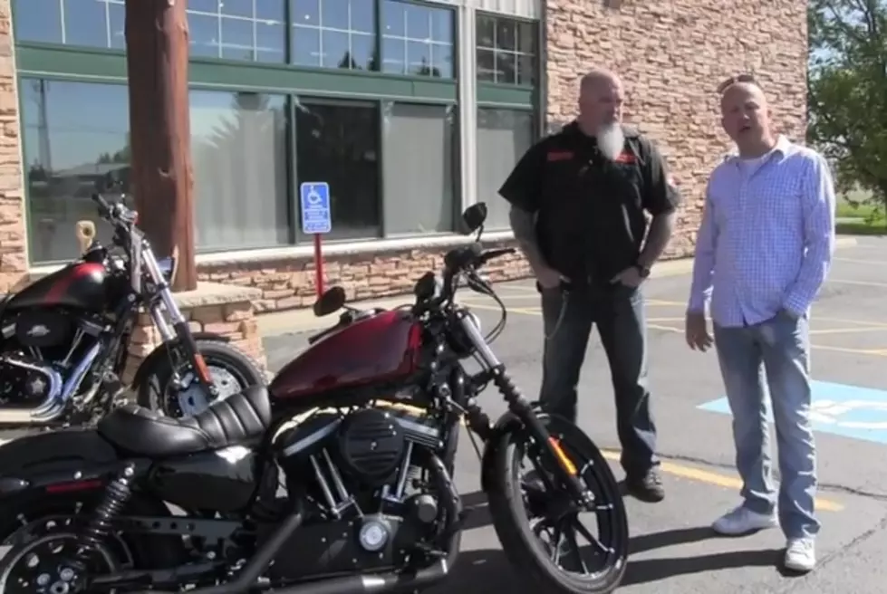 Ready to go Riding? (This Should be Your New Bike!) [Watch]
