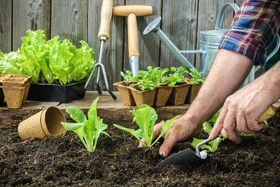 Free Gardening Seminar Coming Up On Monday Evening April 17th