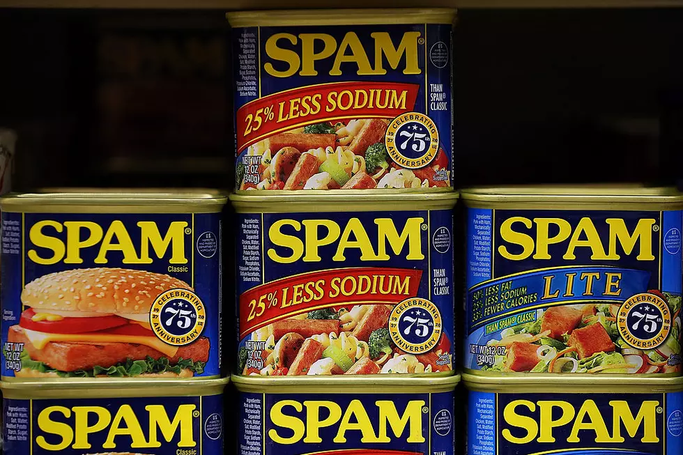 I&#8217;m Meat in a Can, Spam I Am