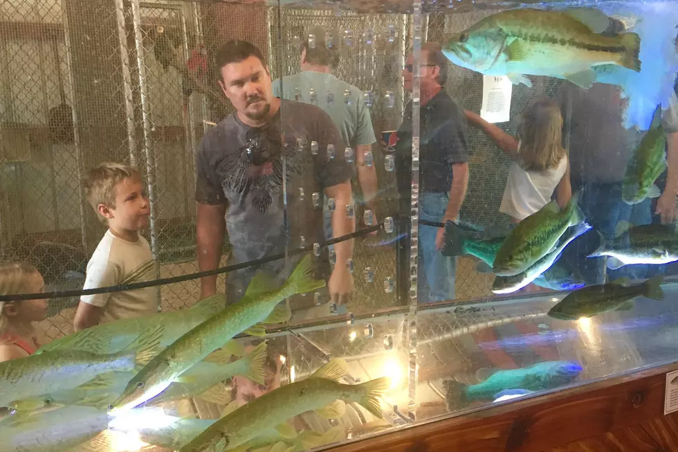 A Fish Tried to Escape the Sportsman&#8217;s Club Building at the Benton County Fair