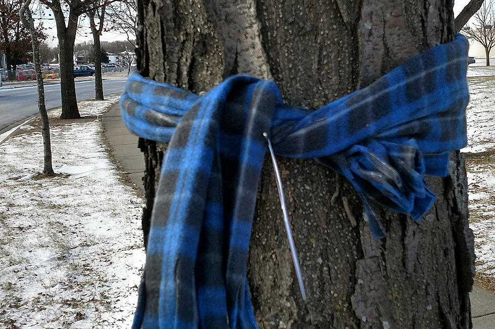 Why Are Scarves Tied to Trees Around St. Cloud?