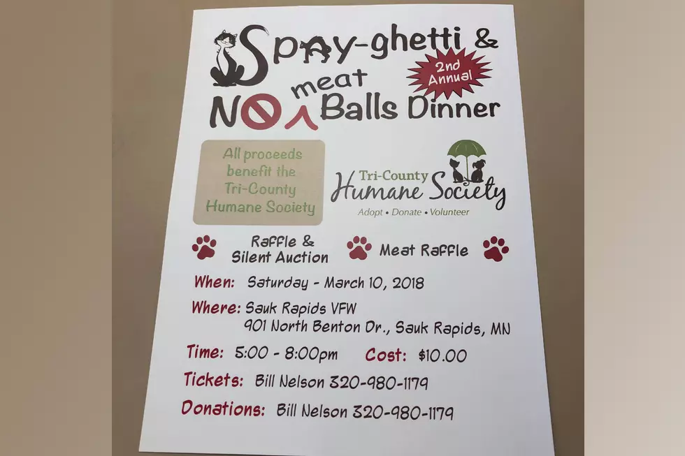 TCHS Gears Up for Spay-Ghetti &#038; No (Meat) Balls Dinner
