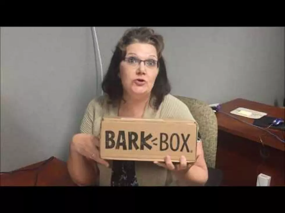 Find Out If a “Bark Box” is Sampson Approved