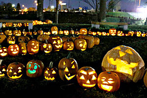 Don&#8217;t Miss The Jack O Lantern Spectacular Debut at MN ZOO