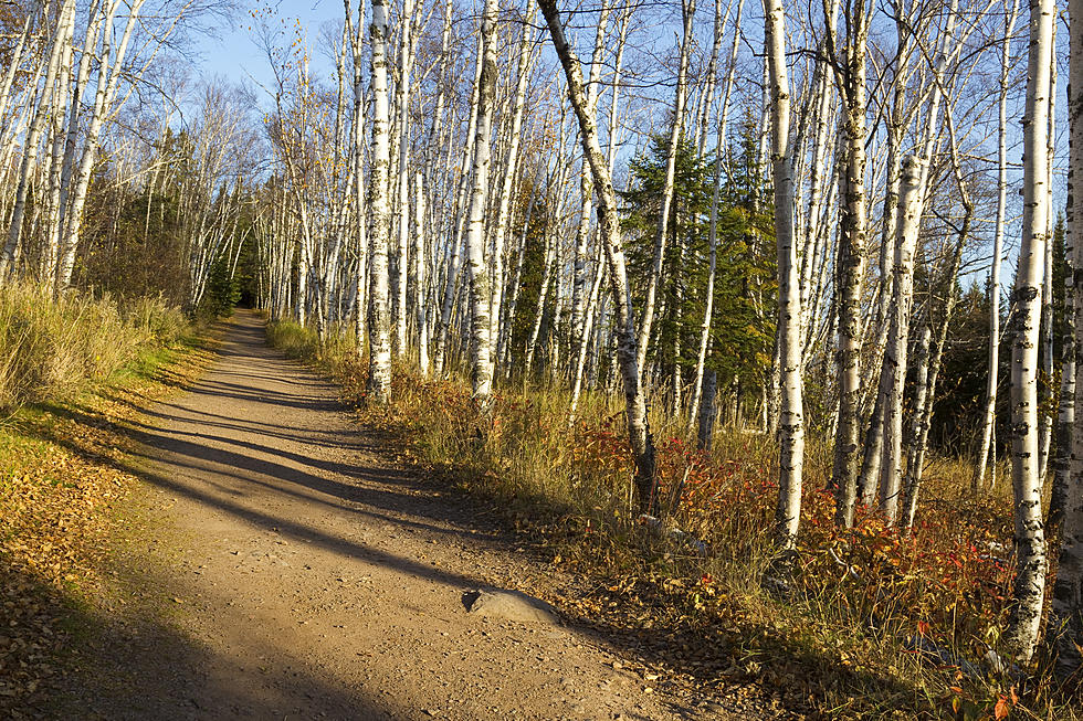 Feeling Ambitious? This is the Toughest Trail in Minnesota – Worth It?