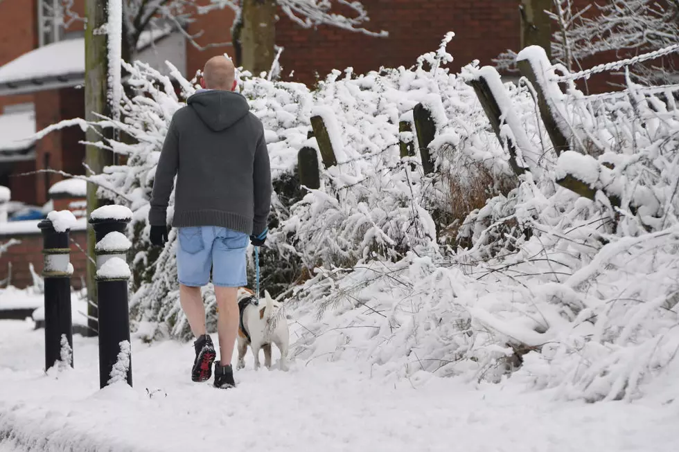 U of M Student Wears Shorts Outside During Polar Vortex