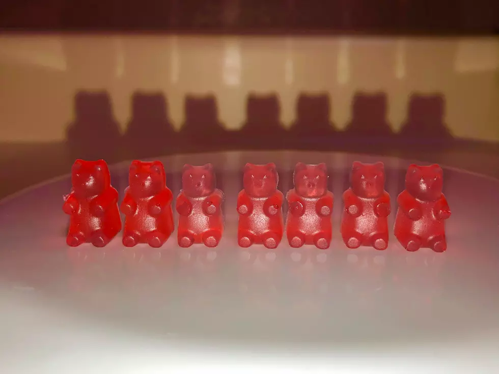 Homemade, Two Ingredient Sugarless Gummy Bears [Recipe]